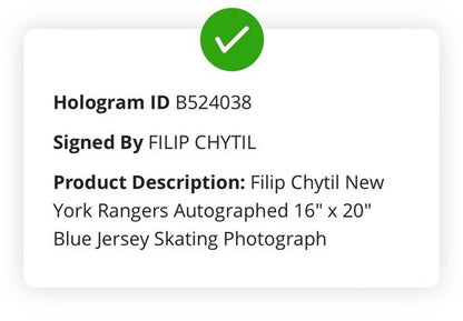 Filip Chytil Signed 16x20 Framed Action Photo NY Rangers Autograph Fanatics COA