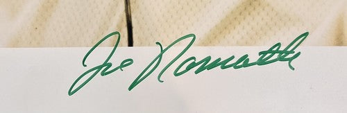 Joe Namath Signed Original Leifer 16x20 Photo Framed Jets Le / 250 Auto Steiner