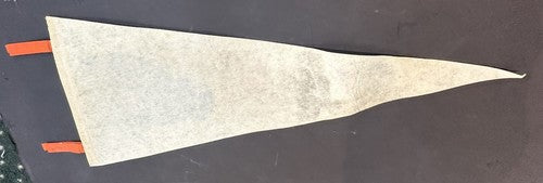 Vintage 1973 NY Mets World Series Champs Roster Phantom Pennant Willie Mays Rare