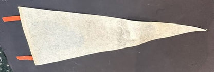 Vintage 1973 NY Mets World Series Champs Roster Phantom Pennant Willie Mays Rare