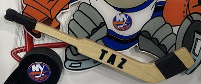 Taz Tasmanian Devil Looney Tunes NY Islanders Framed 3D Pucks & Stick Photo Art