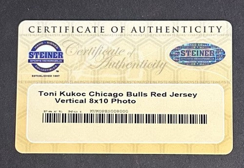 Toni Kukoc Bulls Signed Framed 8x10 Photo # 7 Auto Steiner Coa World Champion