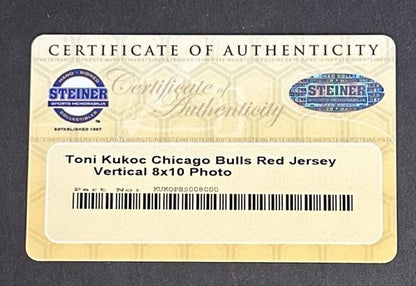 Toni Kukoc Bulls Signed Framed 8x10 Photo # 7 Auto Steiner Coa World Champion