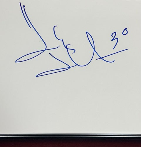 Henrik Lundqvist Signed 16x32 Framed Pano Photo Mint /30 Auto Rangers Steiner