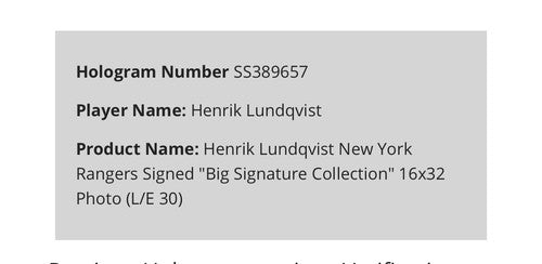 Henrik Lundqvist Signed 16x32 Framed Pano Photo Mint /30 Auto Rangers Steiner