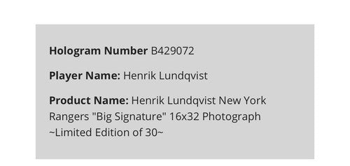 Henrik Lundqvist Signed 16x32 Framed Pano Photo Mint /30 Auto Rangers Steiner