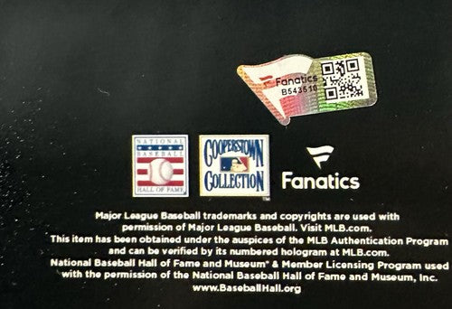 Mike Piazza Signed United We Stand Hr 16x20 9/11 Photo Framed Mets auto Fanatics