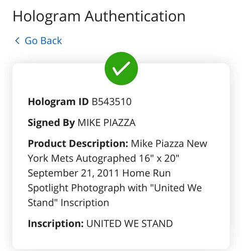 Mike Piazza Signed United We Stand Hr 16x20 9/11 Photo Framed Mets auto Fanatics