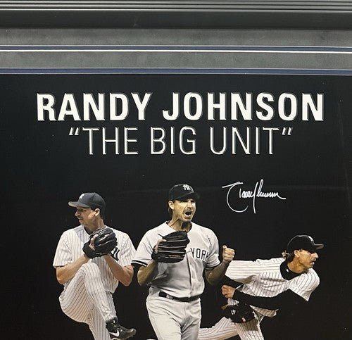 Randy Johnson Signed 20x24 Suede Framed Collage Photo Yankees Auto Steiner HOF