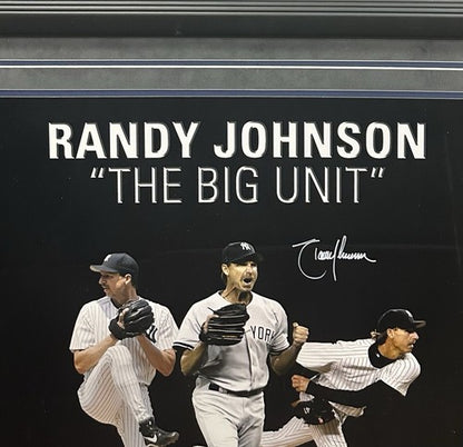 Randy Johnson Signed 20x24 Suede Framed Collage Photo Yankees Auto Steiner HOF