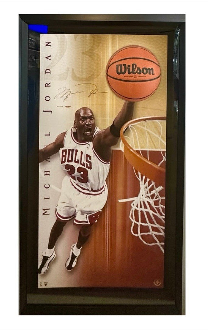 Michael Jordan Signed Breaking Through Framed Photo 3D Bulls LE Auto UDA COA HOF