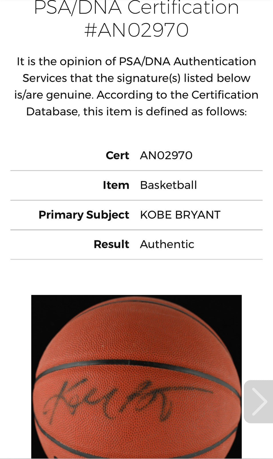 Kobe Bryant Lakers Signed NBA Spalding Basketball Rookie Auto PSA Loa Letter
