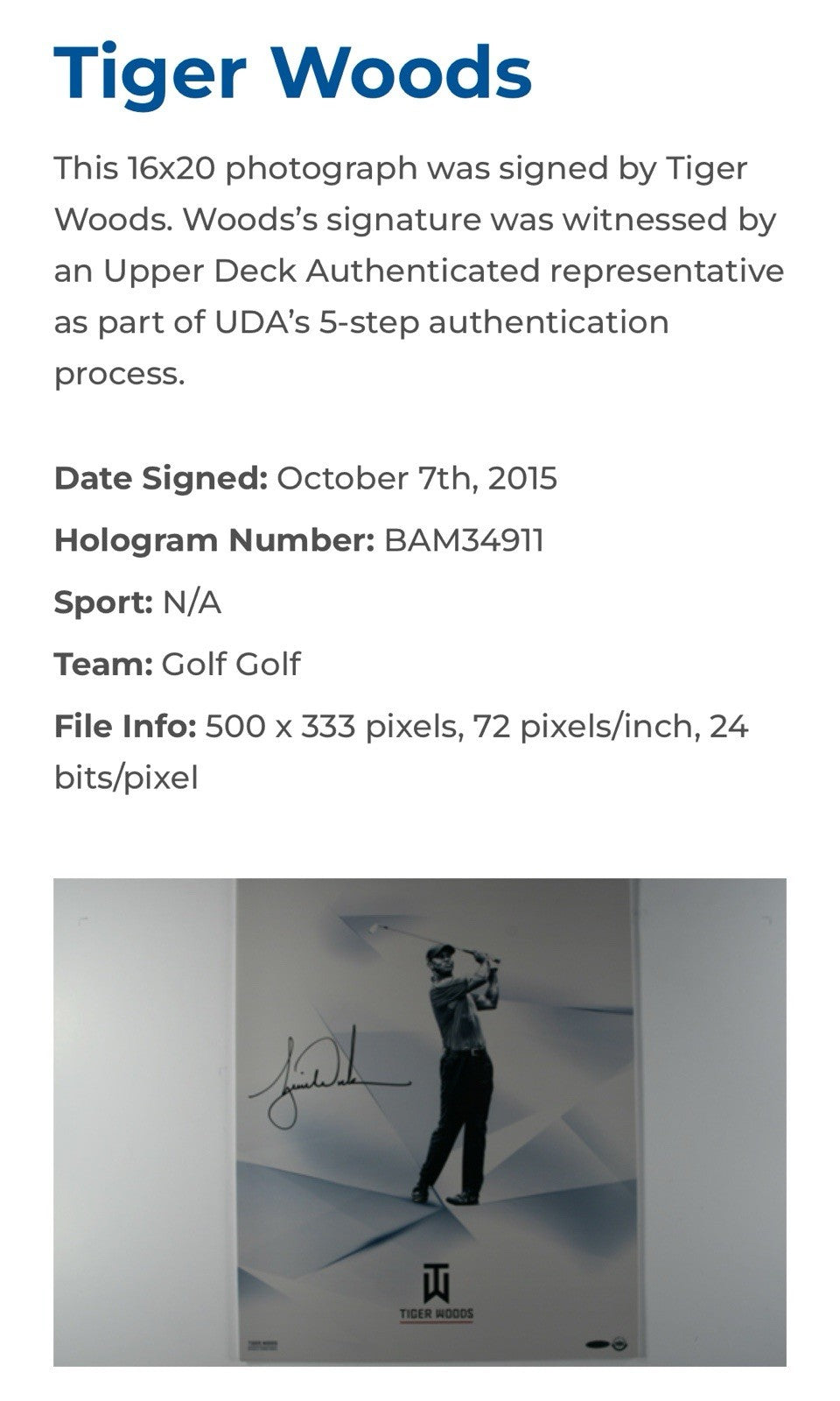 Tiger Woods Signed 16x20 Framed Clarity Chrome Photo Golf Mint Autograph UDA COA