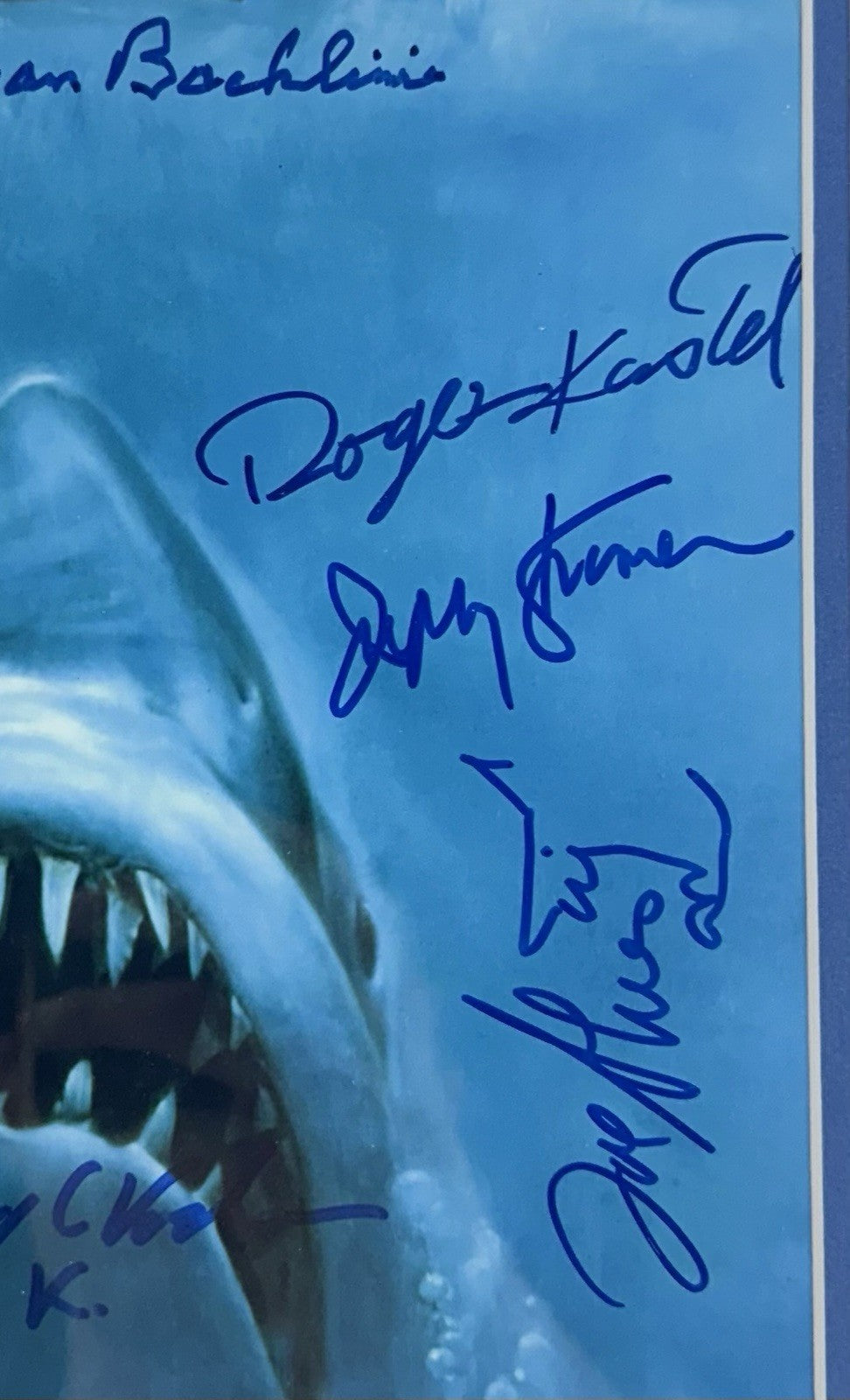 Jaws Cast Signed Framed Movie Poster Collage Photo 11 Auto Roy Scheider PSA LOA