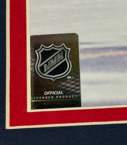 ALEXANDER OVECHKIN SIGNED 16x20 Framed CAPITALS Record #895 Goal Auto FANATICS