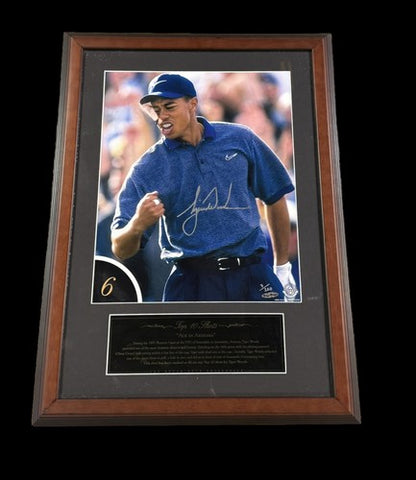 Tiger Woods Signed 12x16 Framed Golf Photo Ace In Arizona Mint Auto 7/10 UDA COA