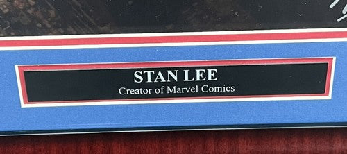 Marvel Spider-Man Stan Lee Signed 16x20 Framed Photo Auto SLC COA Hologram