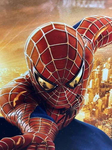 Marvel Spider-Man Stan Lee Signed 16x20 Framed Photo Auto SLC COA Hologram