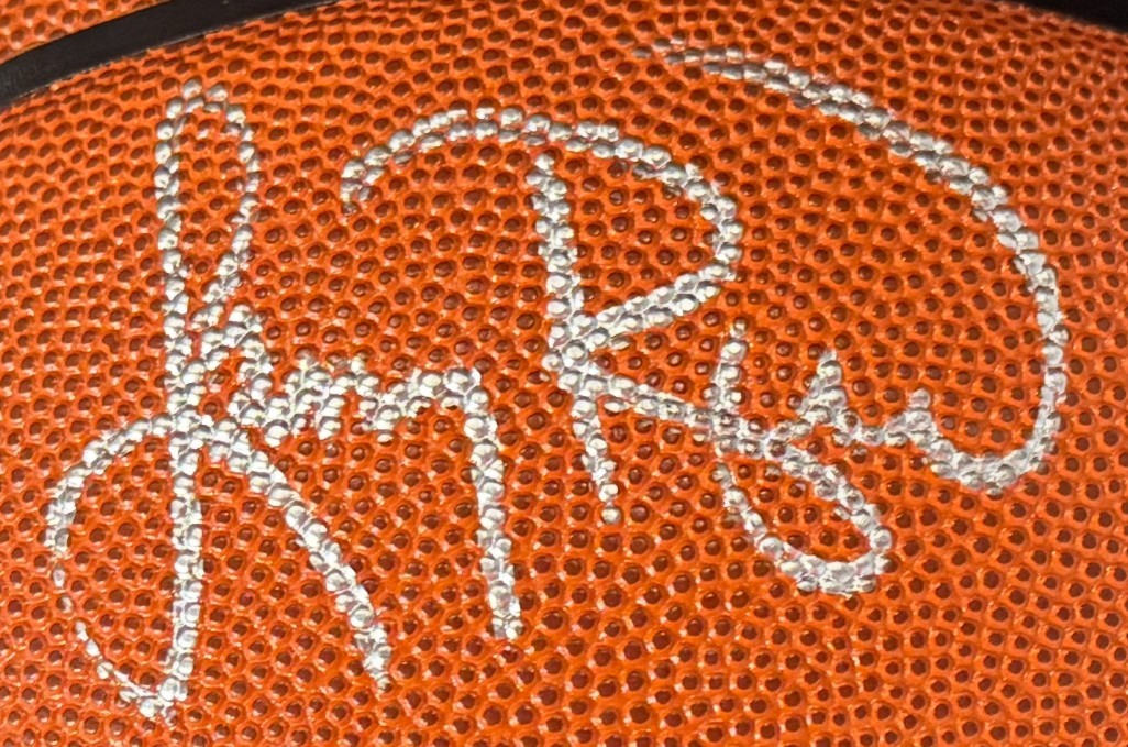 Larry Bird Signed Wilson I/O Basketball Celtics HOF Mint Autograph PSA COA