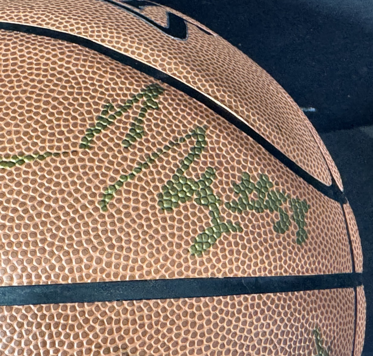 1981 Boston Celtics NBA Champs Team Signed Basketball BAS PSA W/case Larry Bird