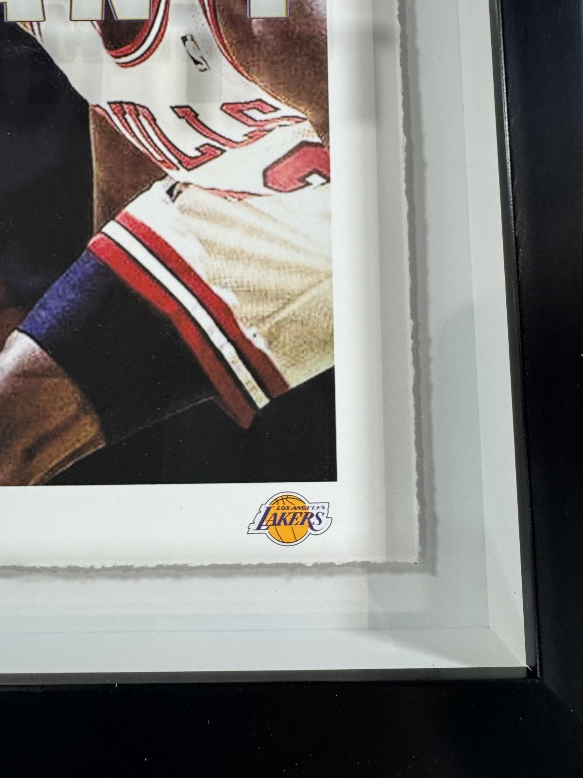 Kobe Bryant & Michael Jordan Framed 3d Photo Shadowbox Tell Me I Can't LA Lakers