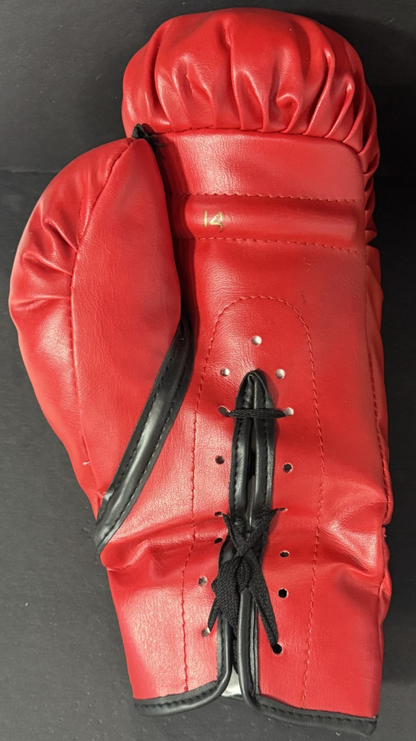 Muhammad Ali Signed Hand Painted 1960 Olympic Gold Boxing Glove Sak Auto AAC COA