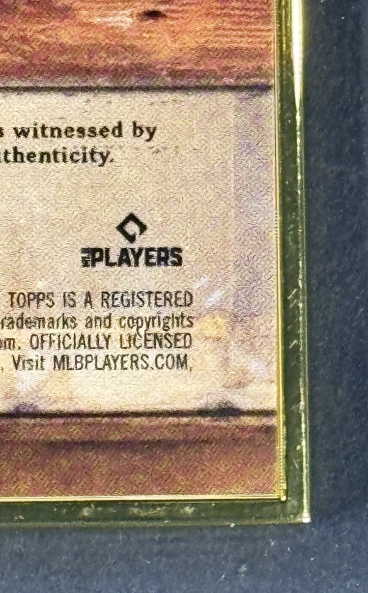 2025 Topps Gilded Gallery Of Gold Thomas Saggese Auto /25 RC St Louis Cardinals