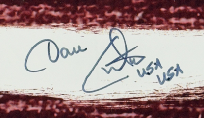 1980 USA Hockey Team Signed Flag Photo Framed ins 16 Auto Jim Craig Steiner COA