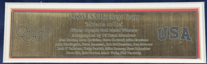 1980 USA Hockey Team Signed Flag Photo Framed ins 16 Auto Jim Craig Steiner COA
