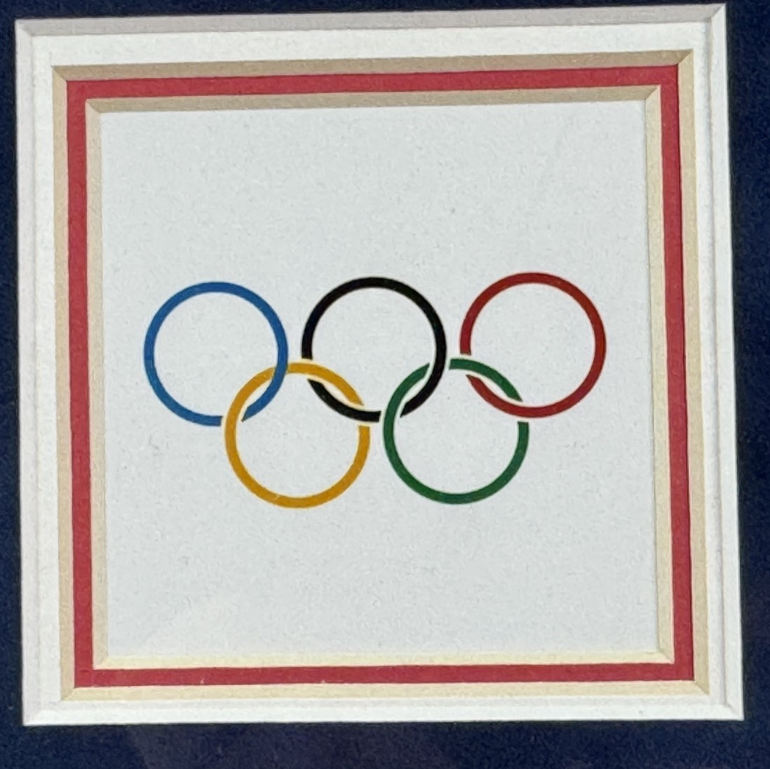 1980 USA Hockey Team Signed Flag Photo Framed ins 16 Auto Jim Craig Steiner COA
