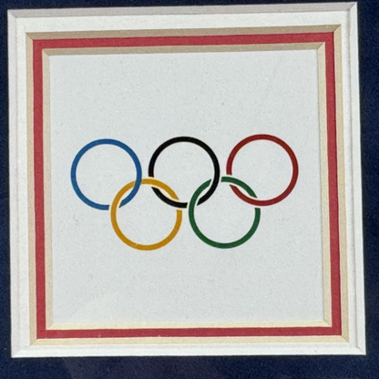 1980 USA Hockey Team Signed Flag Photo Framed ins 16 Auto Jim Craig Steiner COA