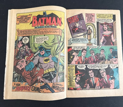 Batman #181 1966 1st App. Poison Ivy WITH PIN-Up Batman & Robin Original Comic