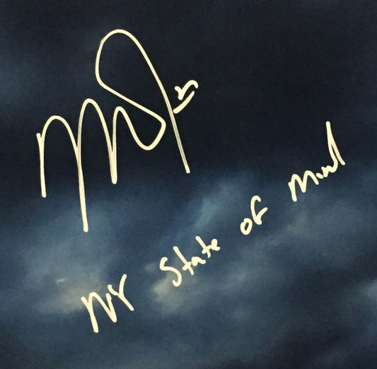 Mike Trout signed 16x20 Framed photo NY State of Mind auto Citified MLB Holo /10