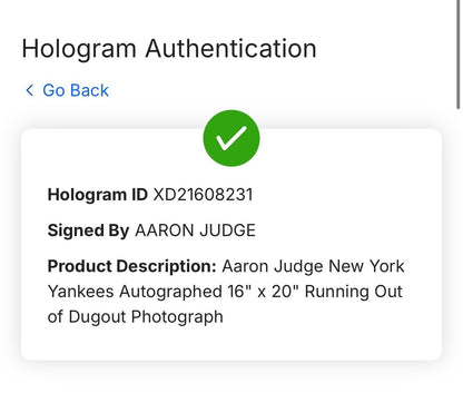 Aaron Judge NY Yankees Signed 16x20 Photo Framed Mint Autograph Fanatics COA