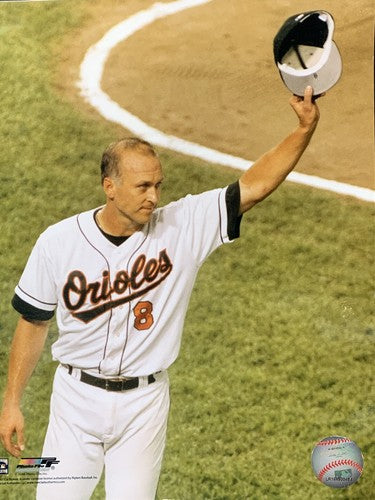 CAL RIPKEN JR #8 Tip Cap  8X10 Photo File Baltimore Orioles Licensed Mlb Holo
