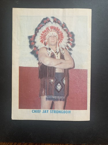 wwwf championship wrestling program 1974 Nassau Coliseum Bruno The Champion