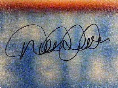 Derek Jeter Yankees Signed 16x20 Canvas Photo Stretched USA Flag Auto MLB COA