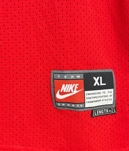 Michael Jordan Nike Team Basketball #45 Jersey XL Sz 52 +2 Length Chicago Bulls