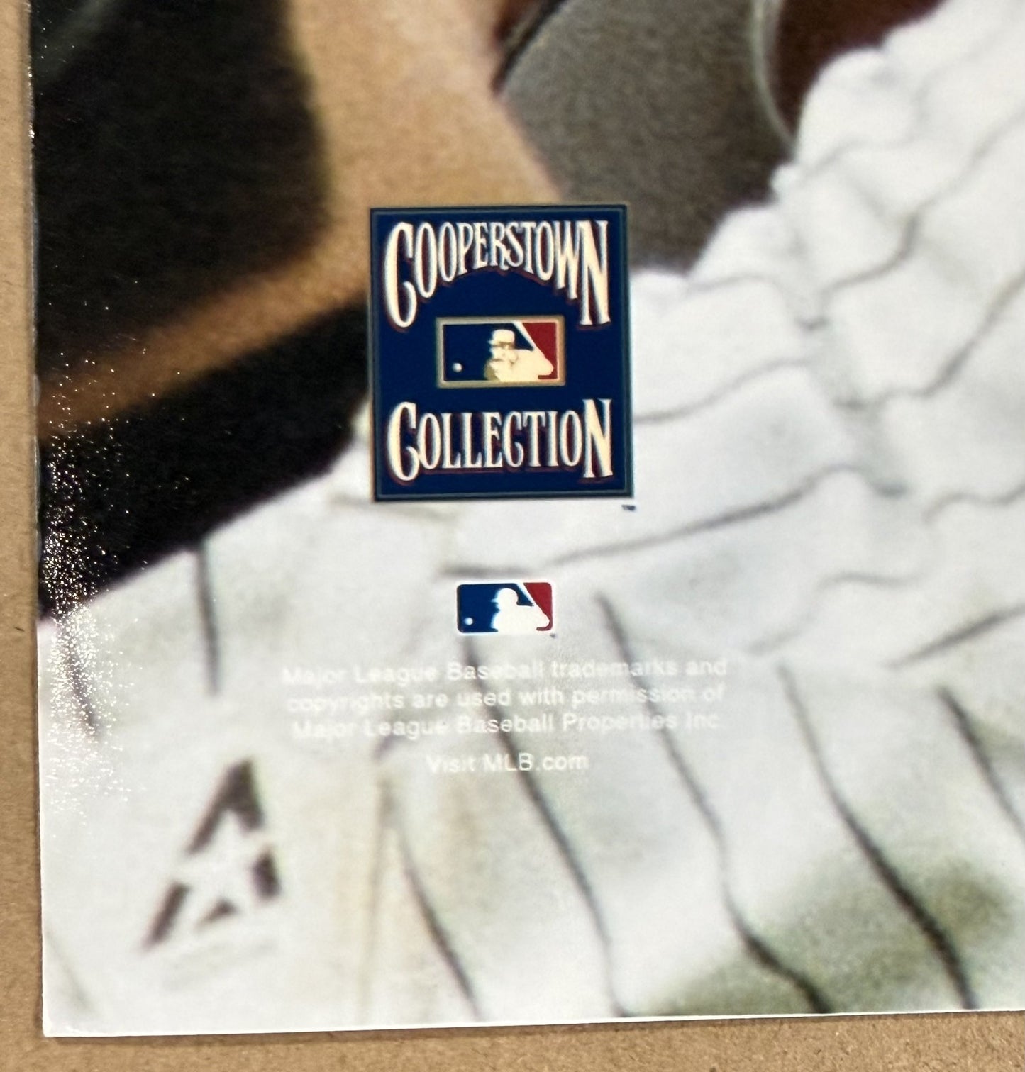 David Wells Yankees 16x20 Photo PERFECT GAME PG 1998 Unsigned Steiner