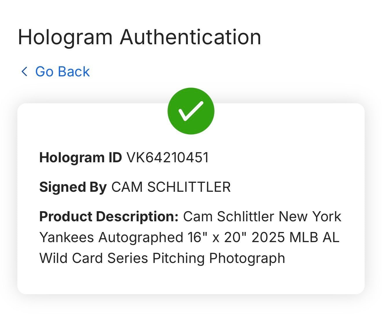 Cam Schlittler Signed 16x20 Spotlight Photo Framed Auto Fanatics MLB NY Yankees