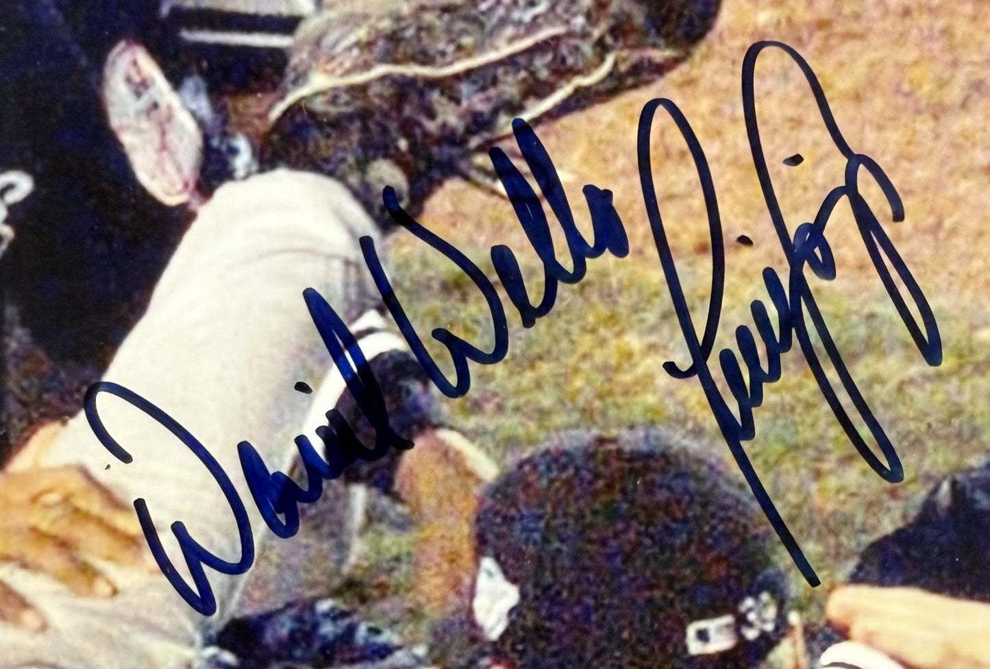 NY Yankees Team Signed 16x20 LE Photo Framed 1998 World Champs 31 Auto CBM LOA