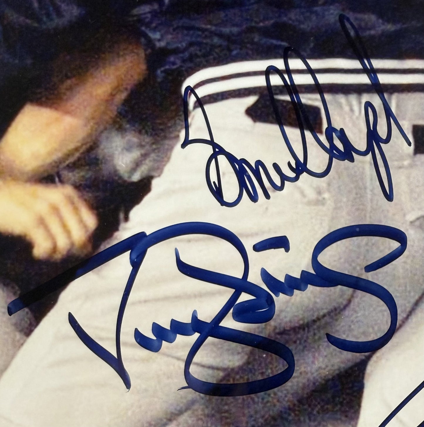 NY Yankees Team Signed 16x20 LE Photo Framed 1998 World Champs 31 Auto CBM LOA