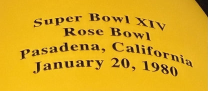 Danbury Mint Pittsburgh Steelers Super Bowl Dynasty Porcelain Trophy Bradshaw