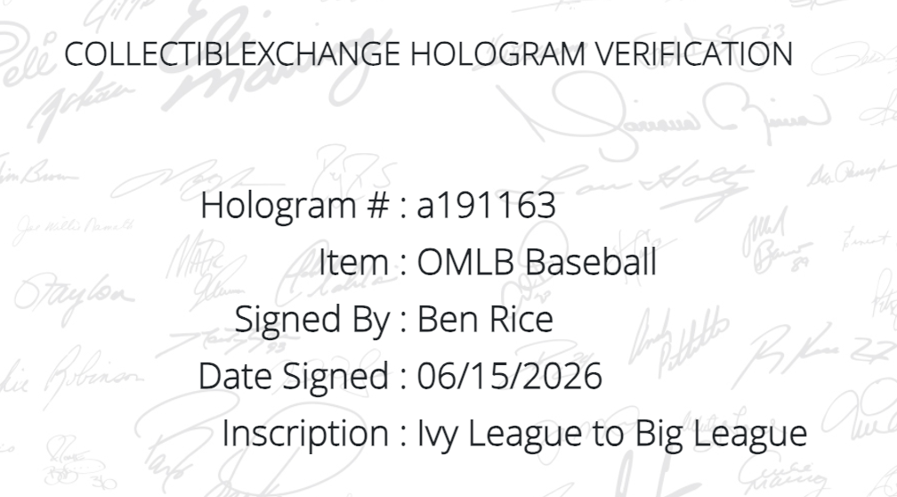 Ben Rice Signed Official Baseball Ivy League To Big League Auto Steiner Yankees