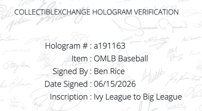 Ben Rice Signed Official Baseball Ivy League To Big League Auto Steiner Yankees