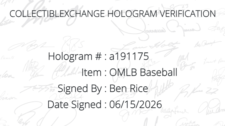 Ben Rice Signed Official MLB Baseball NY Yankees Mint Auto Steiner CX COA