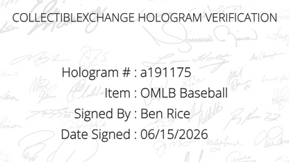 Ben Rice Signed Official MLB Baseball NY Yankees Mint Auto Steiner CX COA