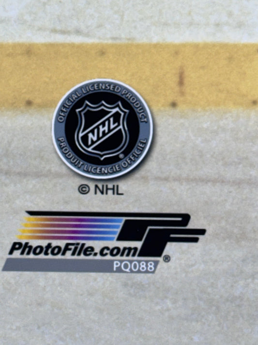 Stéphane Matteau Unsigned 16x20 Licensed Photo File 1994 OT Goal NY Rangers