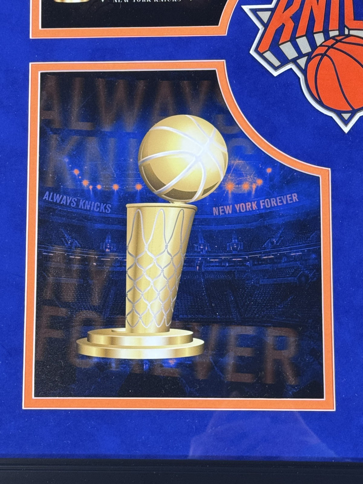 New York Knicks 2026 NBA Finals Champions Framed 20x24 Photo Brunson MVP