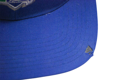 Vintage CCM Seattle Seahawks Snapback Hat Classic Team NFL Collection Rare